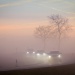 Claves a la hora de conducir con niebla